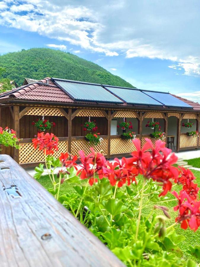 Casa Alexandra Villa Gales Екстериор снимка