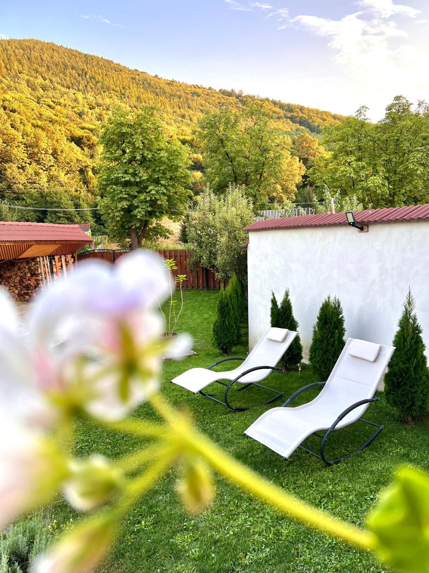 Casa Alexandra Villa Gales Екстериор снимка